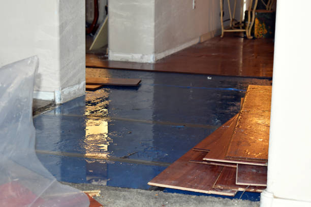 Professional Basement Flood Cleanup technician working in Fackler, AL